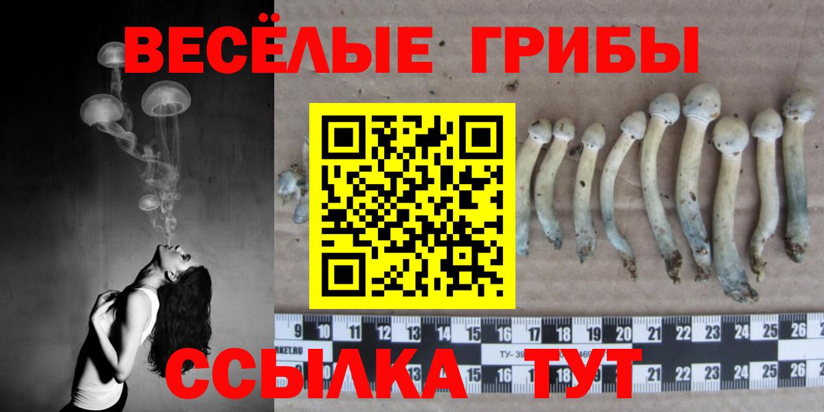 Псилоцибиновые грибы MAGIC MUSHROOMS  Вход с VPN  Каменка 
